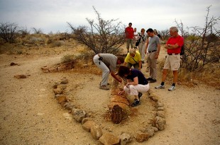 566 Namibia Okt 2006 .JPG